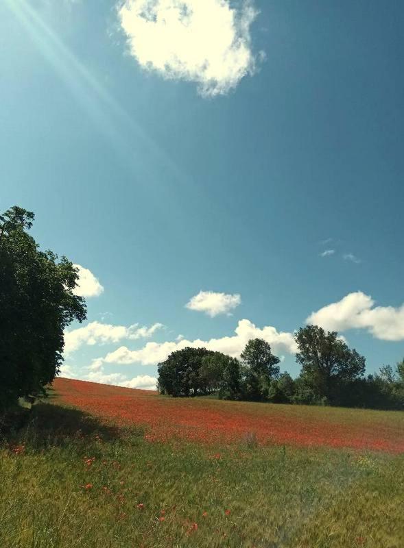 Apartamento L'eolienne Valensole